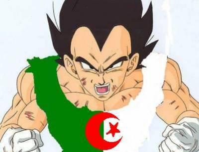 VEGETA EN MODE DU BLED